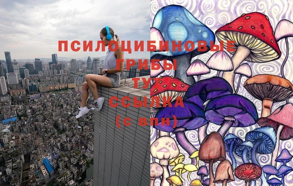 трава Абаза