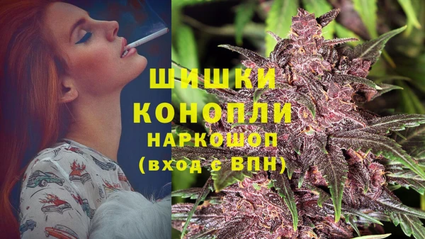 трава Абаза